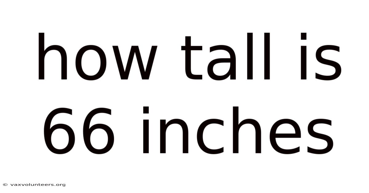 How Tall Is 66 Inches