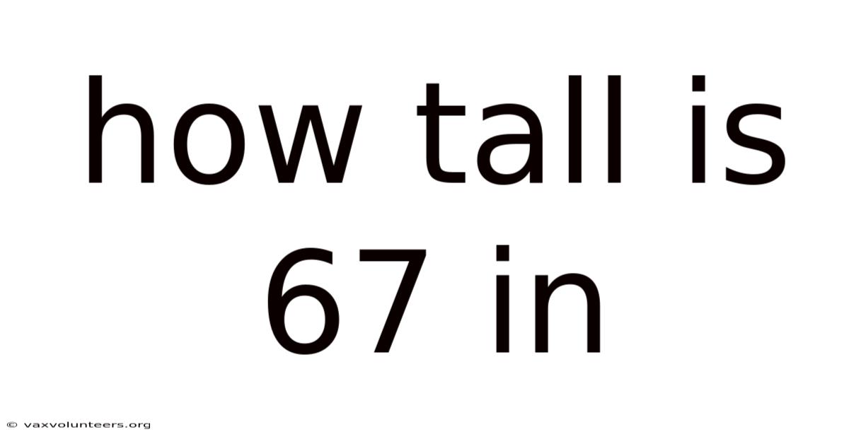 How Tall Is 67 In