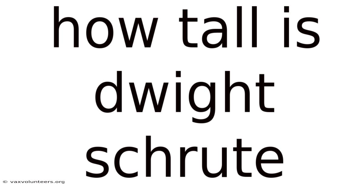How Tall Is Dwight Schrute