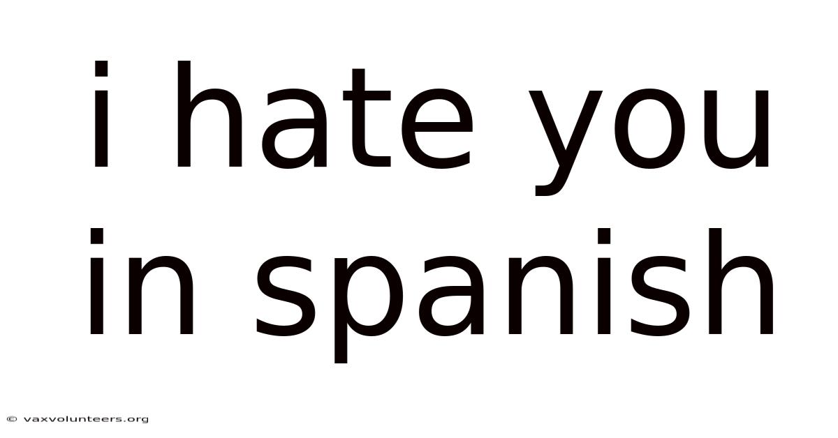 I Hate You In Spanish