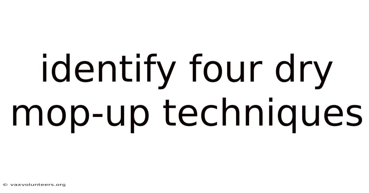 Identify Four Dry Mop-up Techniques