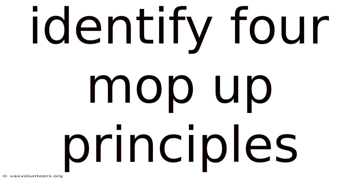 Identify Four Mop Up Principles