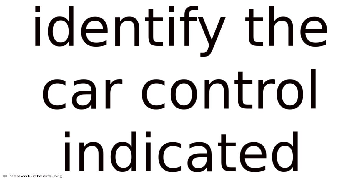 Identify The Car Control Indicated