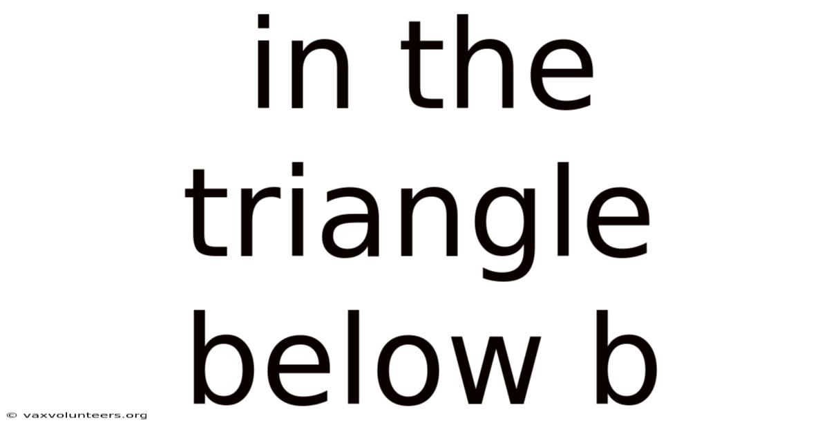 In The Triangle Below B