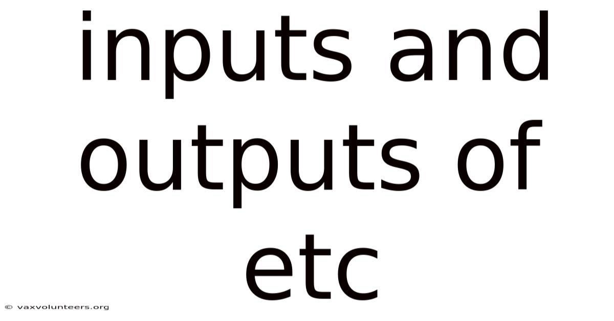 Inputs And Outputs Of Etc