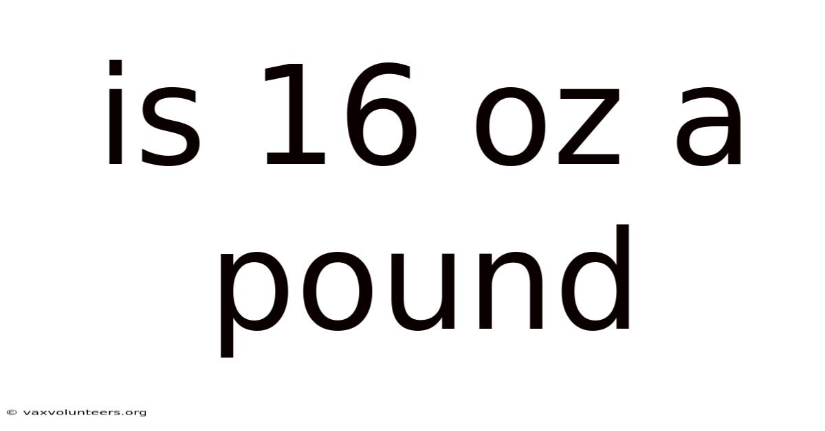 Is 16 Oz A Pound