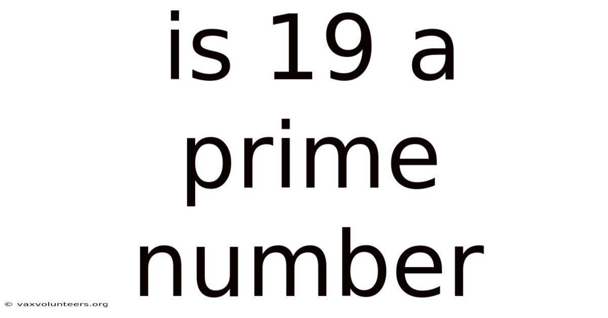 Is 19 A Prime Number