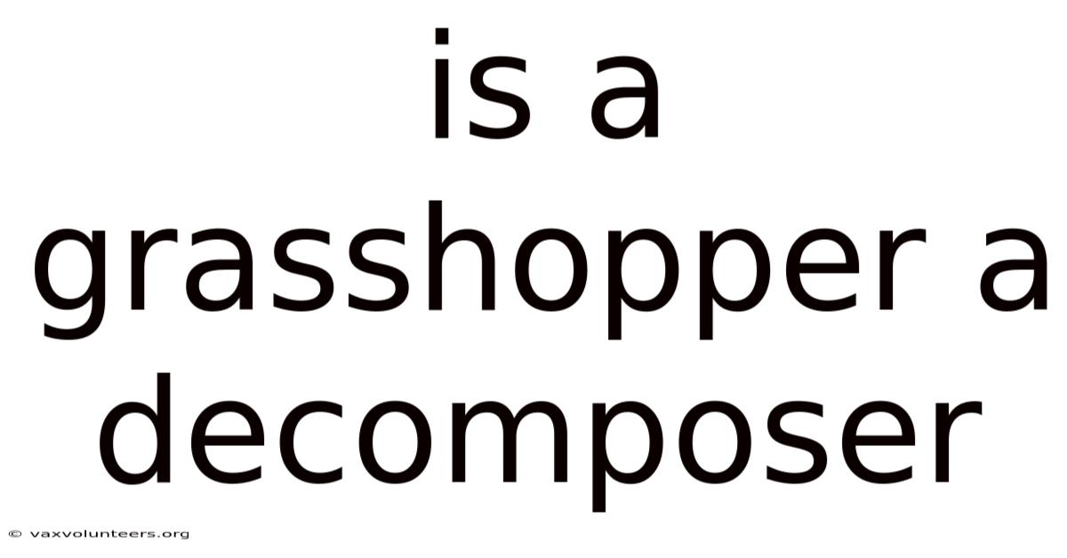 Is A Grasshopper A Decomposer