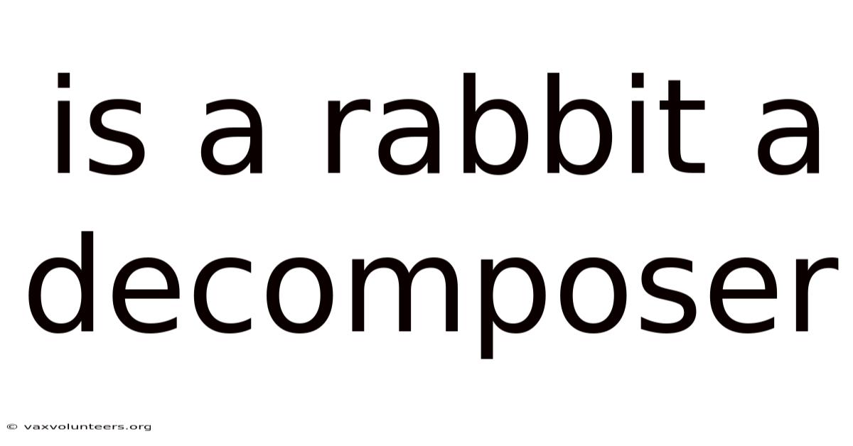 Is A Rabbit A Decomposer