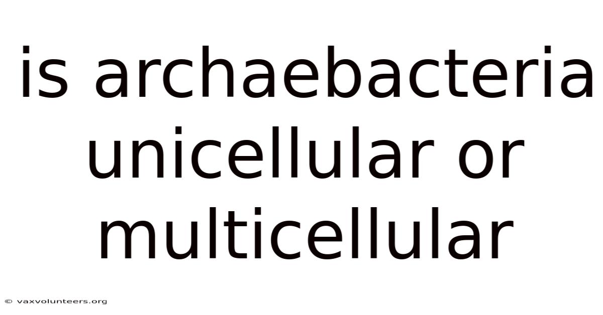 Is Archaebacteria Unicellular Or Multicellular