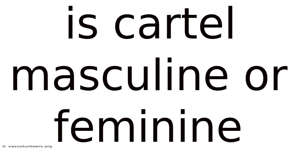 Is Cartel Masculine Or Feminine