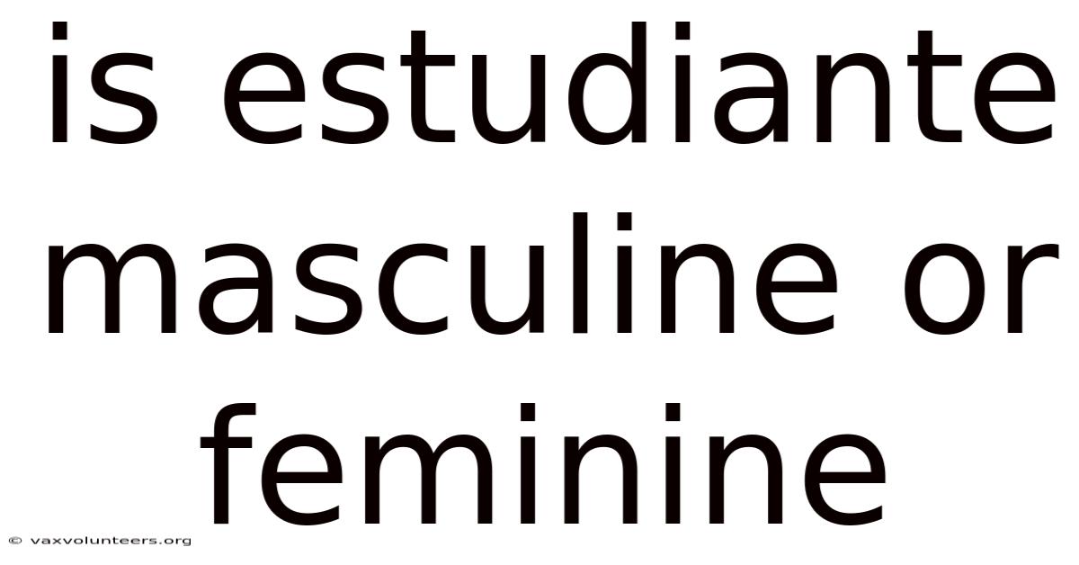 Is Estudiante Masculine Or Feminine