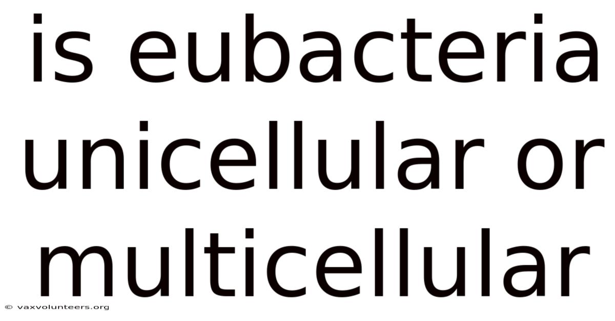 Is Eubacteria Unicellular Or Multicellular