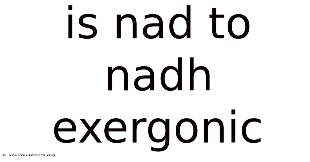 Is Nad To Nadh Exergonic
