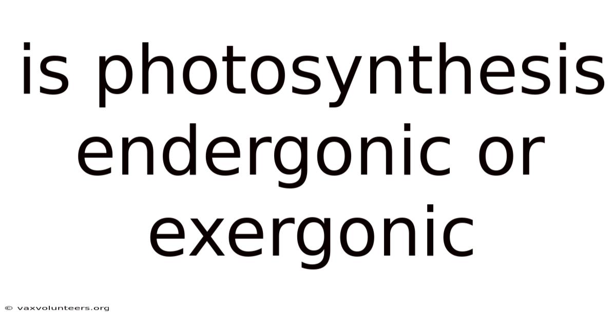 Is Photosynthesis Endergonic Or Exergonic