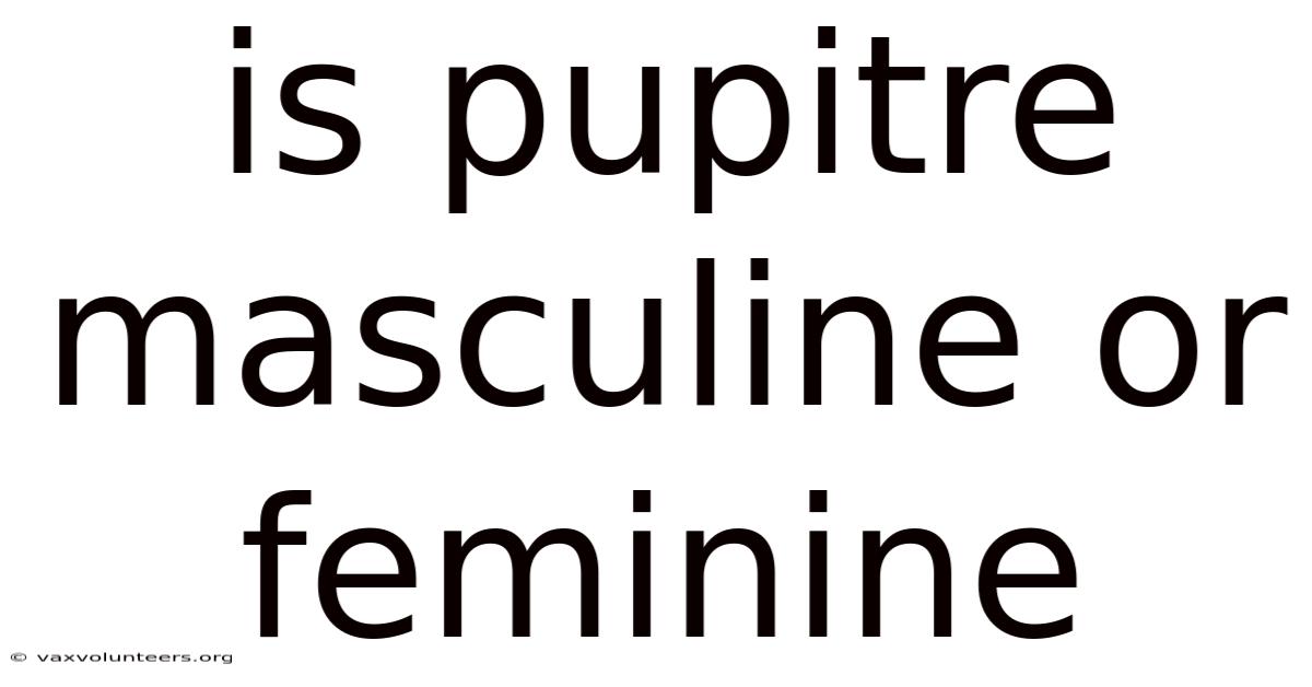 Is Pupitre Masculine Or Feminine