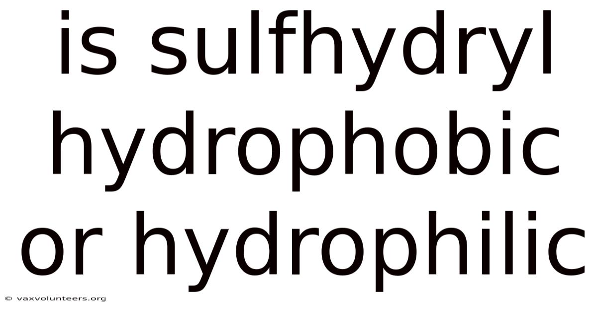 Is Sulfhydryl Hydrophobic Or Hydrophilic