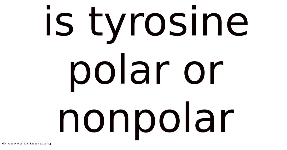 Is Tyrosine Polar Or Nonpolar