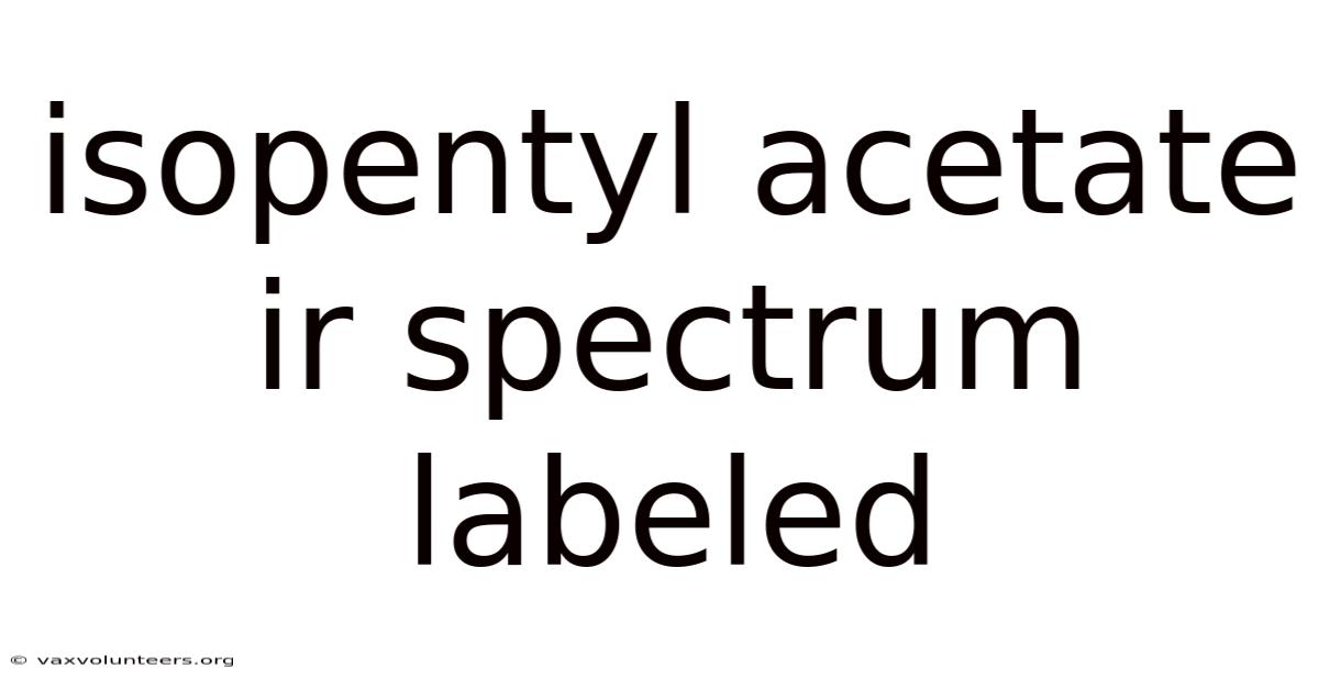 Isopentyl Acetate Ir Spectrum Labeled