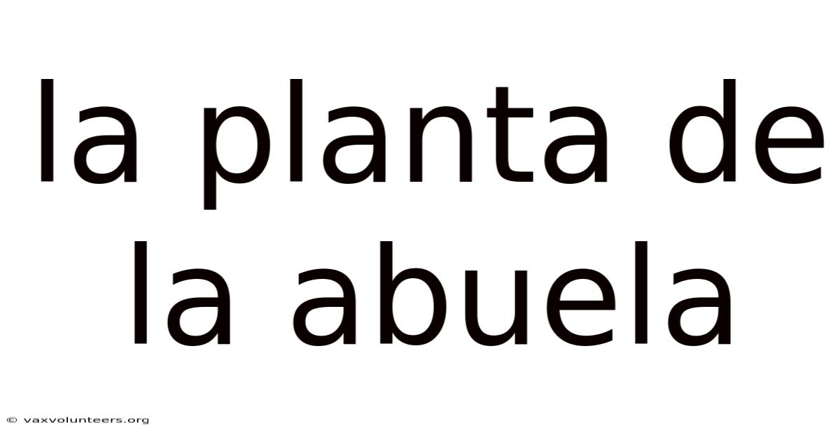 La Planta De La Abuela