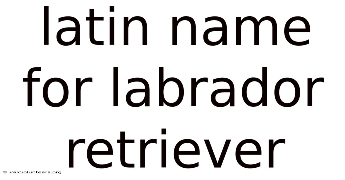 Latin Name For Labrador Retriever