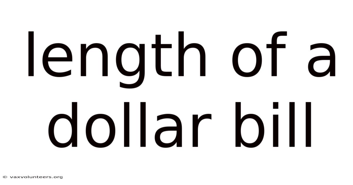 Length Of A Dollar Bill