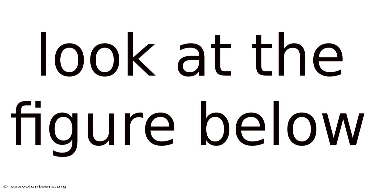 Look At The Figure Below