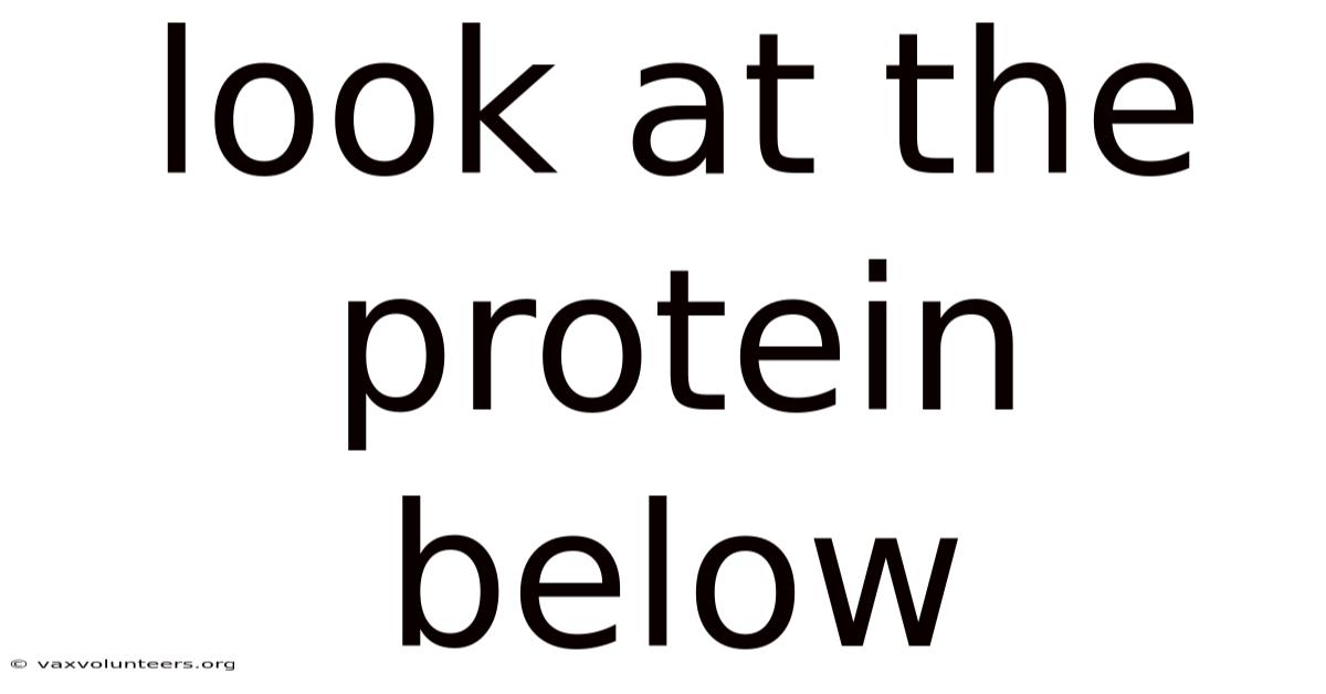 Look At The Protein Below