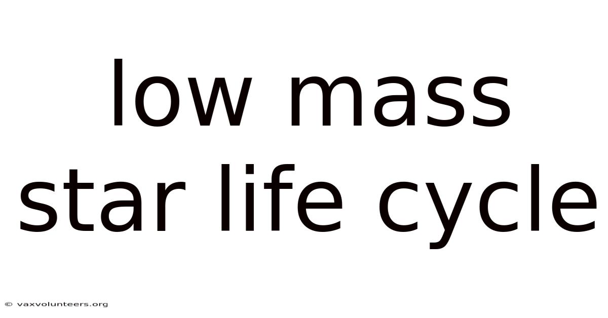 Low Mass Star Life Cycle