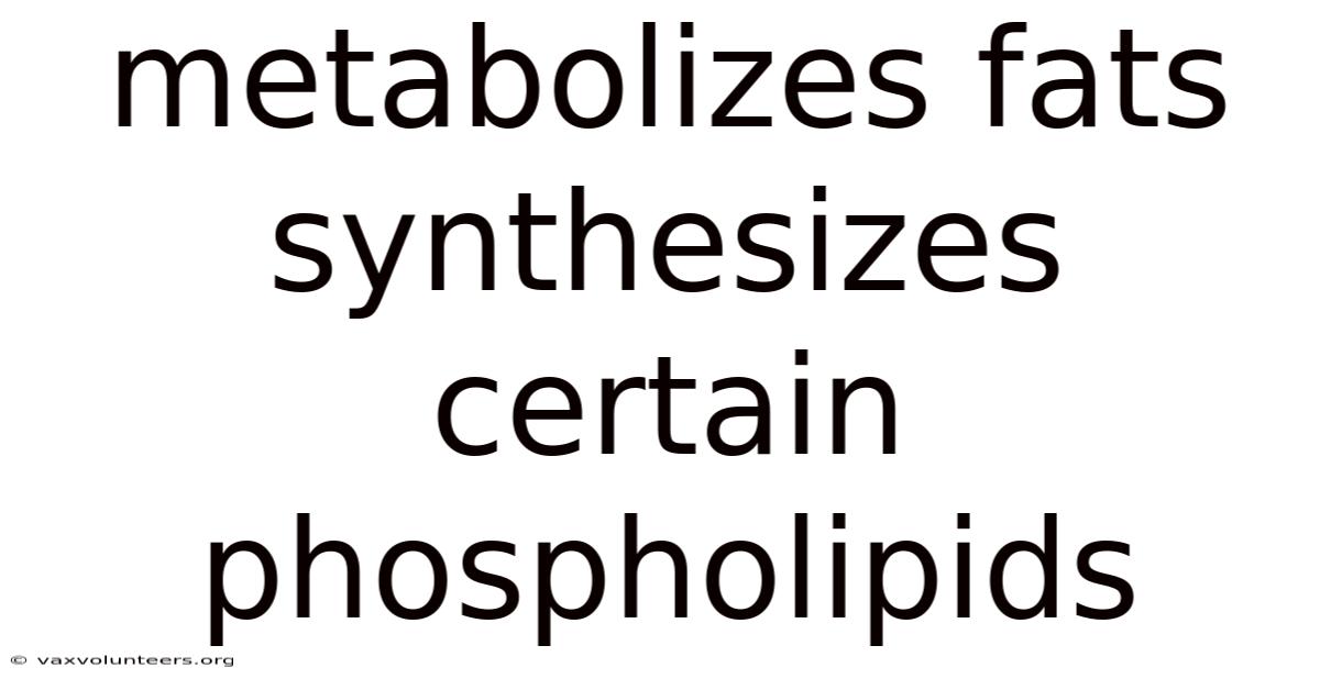 Metabolizes Fats Synthesizes Certain Phospholipids