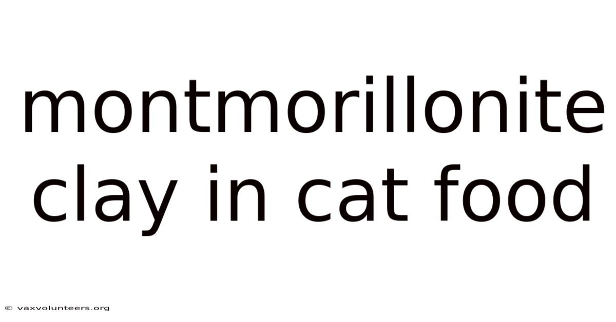 Montmorillonite Clay In Cat Food