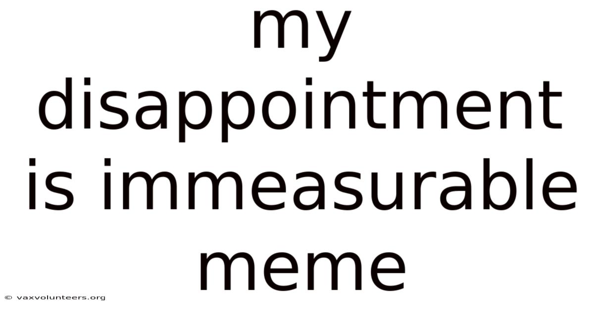 My Disappointment Is Immeasurable Meme