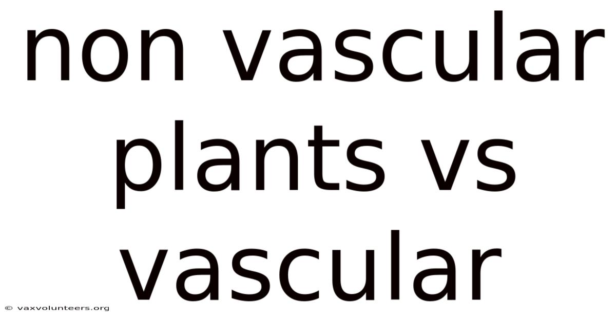 Non Vascular Plants Vs Vascular