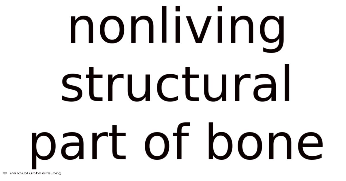 Nonliving Structural Part Of Bone