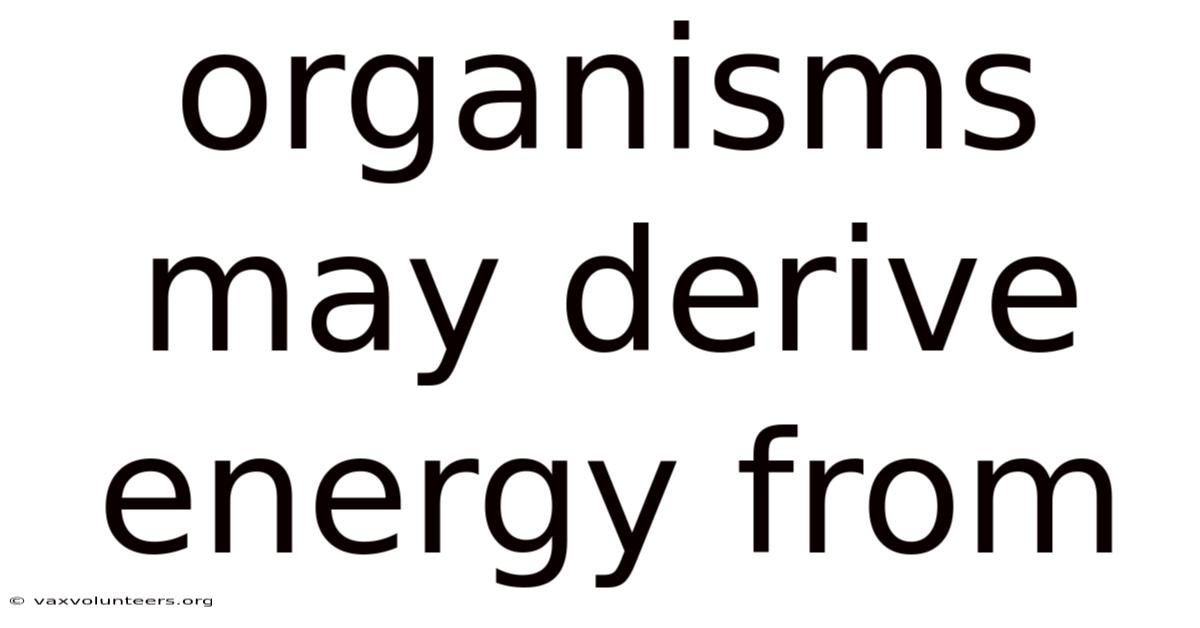 Organisms May Derive Energy From