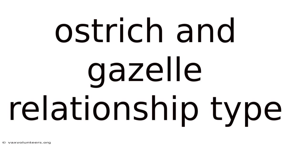 Ostrich And Gazelle Relationship Type