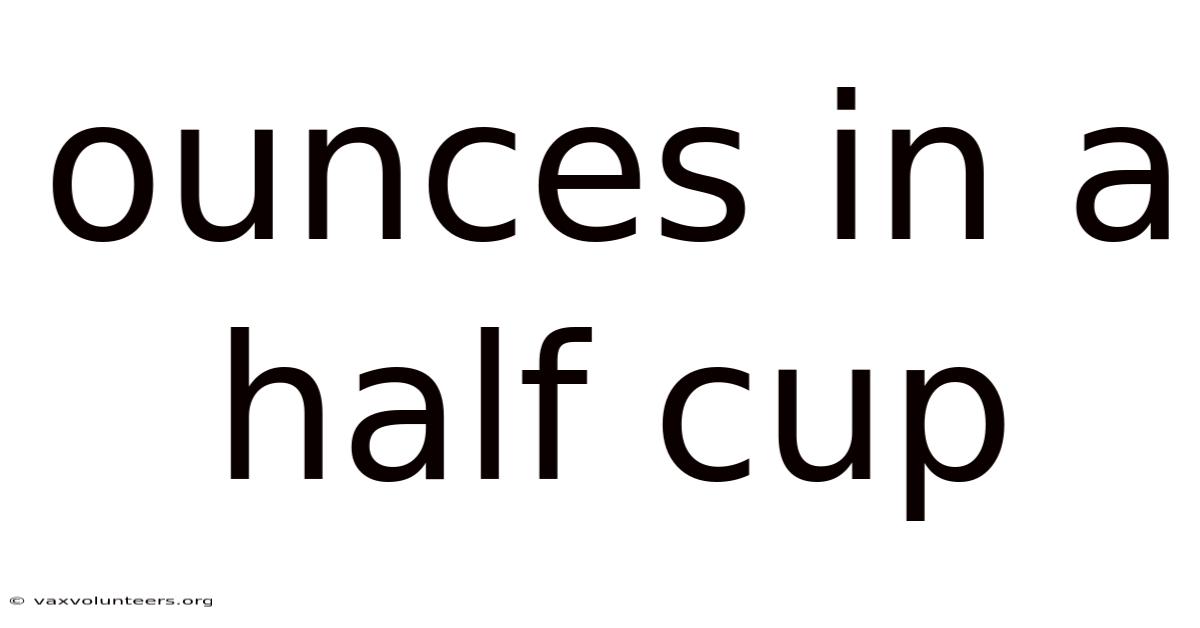 Ounces In A Half Cup