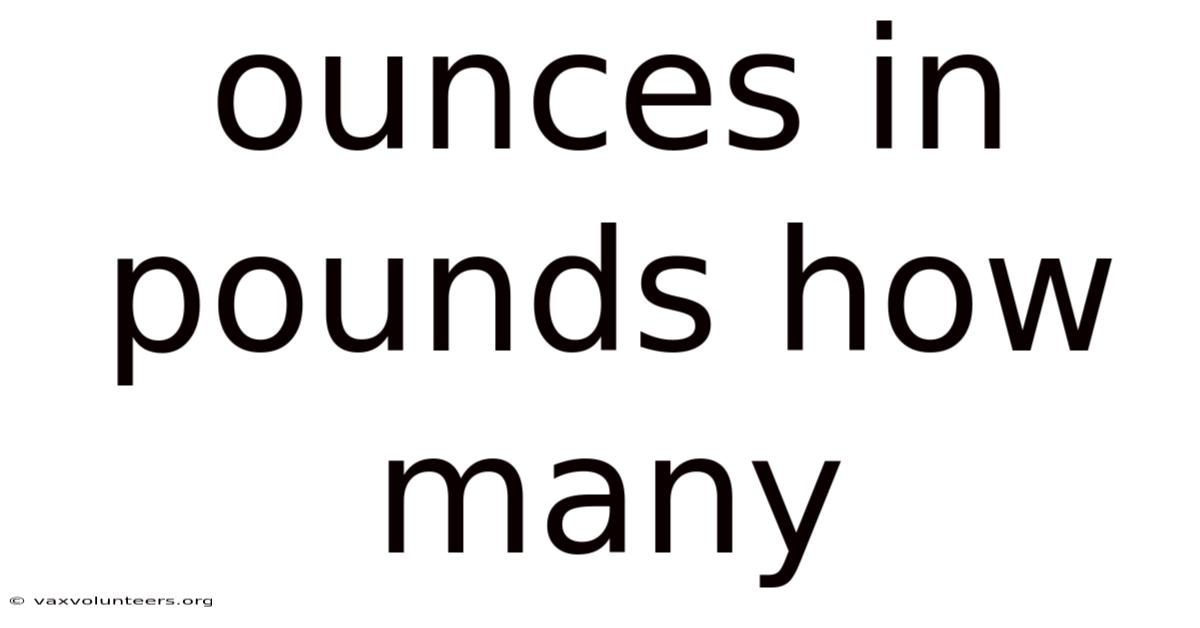 Ounces In Pounds How Many