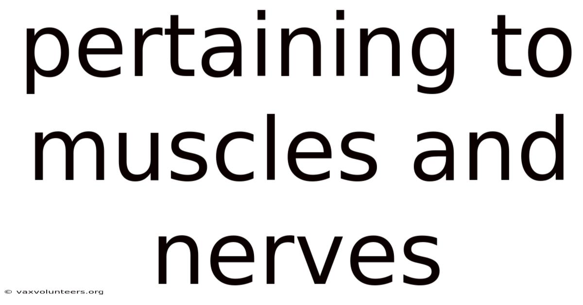 Pertaining To Muscles And Nerves
