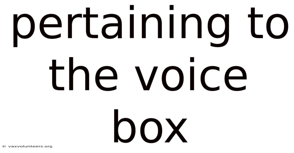 Pertaining To The Voice Box