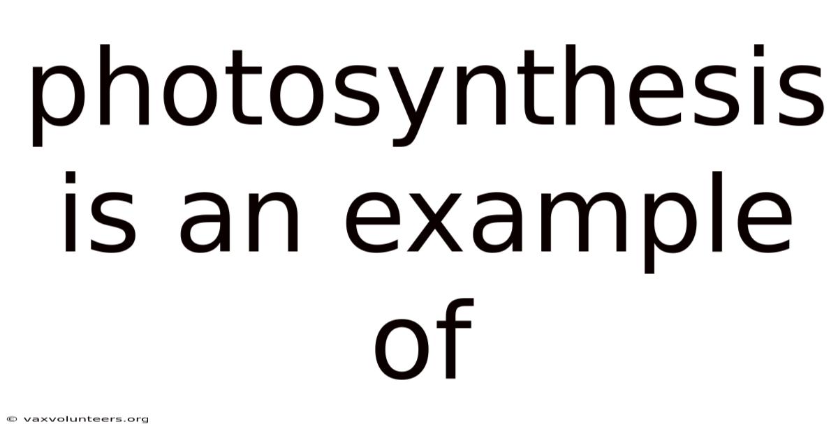 Photosynthesis Is An Example Of