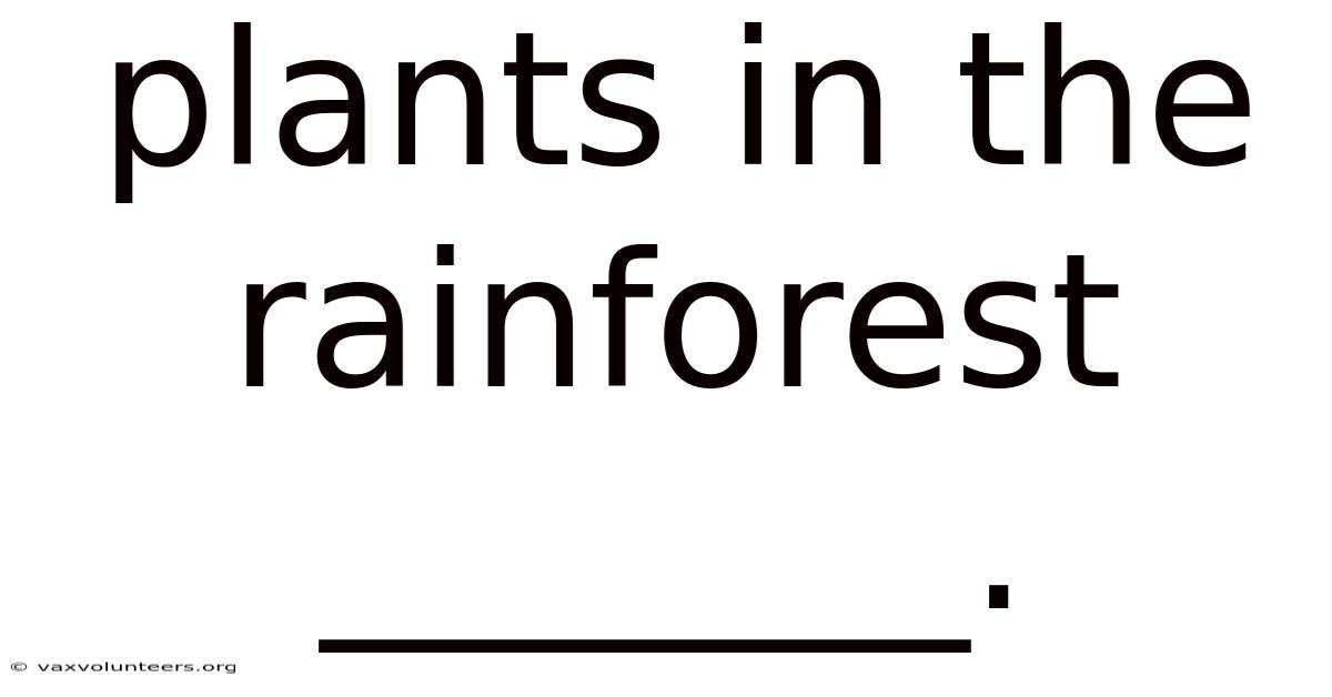Plants In The Rainforest _______.