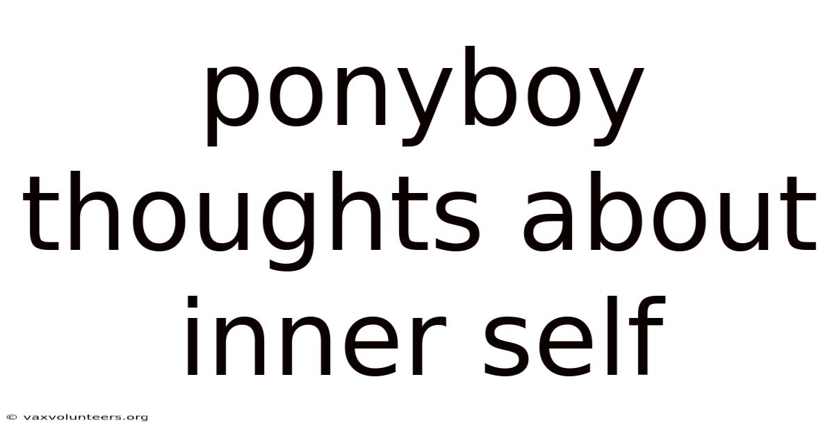 Ponyboy Thoughts About Inner Self