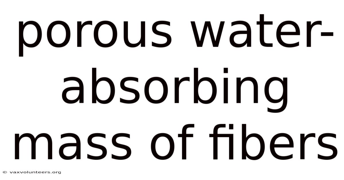 Porous Water-absorbing Mass Of Fibers
