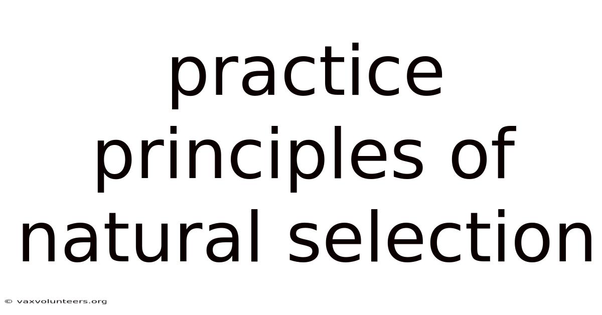 Practice Principles Of Natural Selection