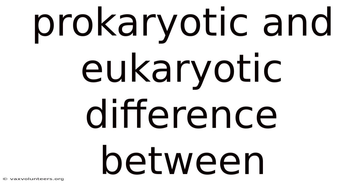 Prokaryotic And Eukaryotic Difference Between