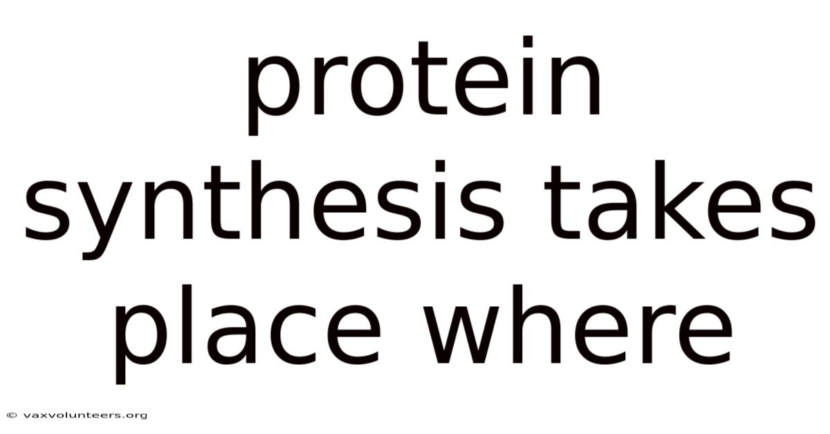 Protein Synthesis Takes Place Where
