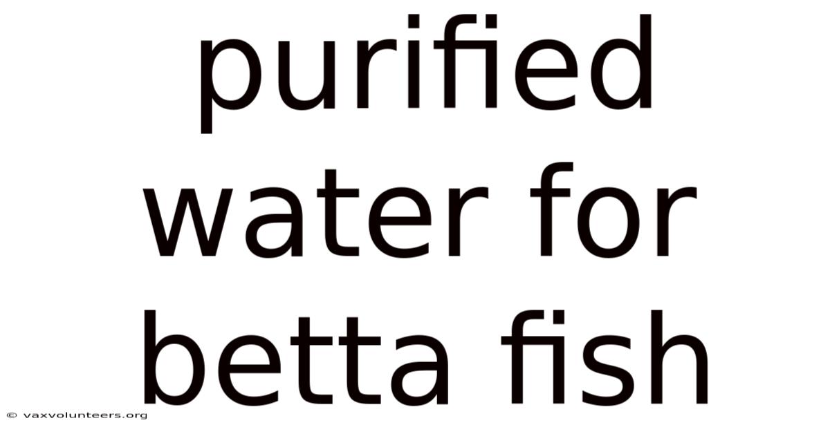 Purified Water For Betta Fish