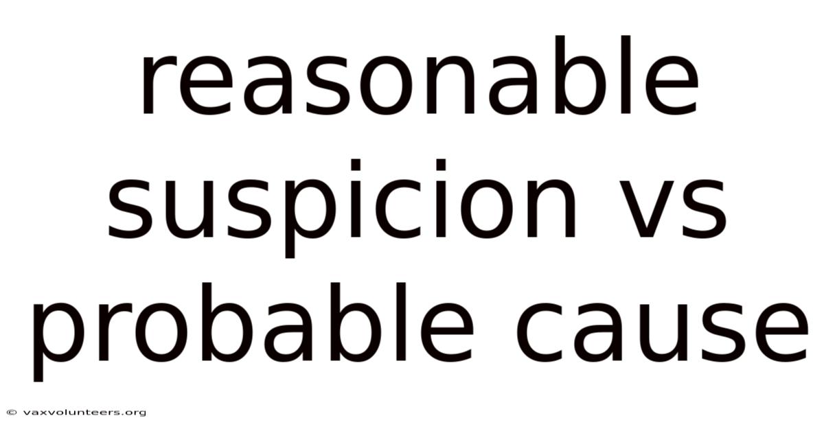 Reasonable Suspicion Vs Probable Cause
