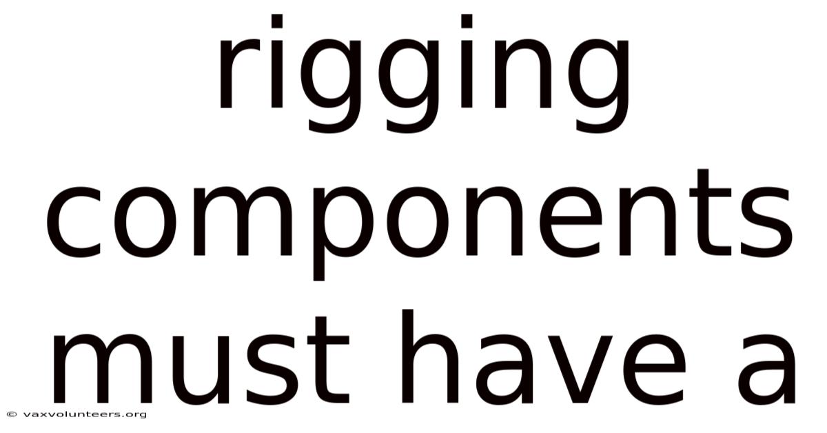 Rigging Components Must Have A